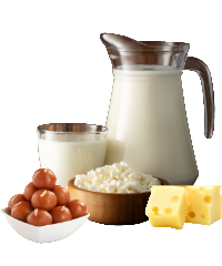 Dairy Products